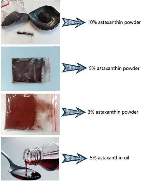 product-479-613 Astaxanthin (5)
