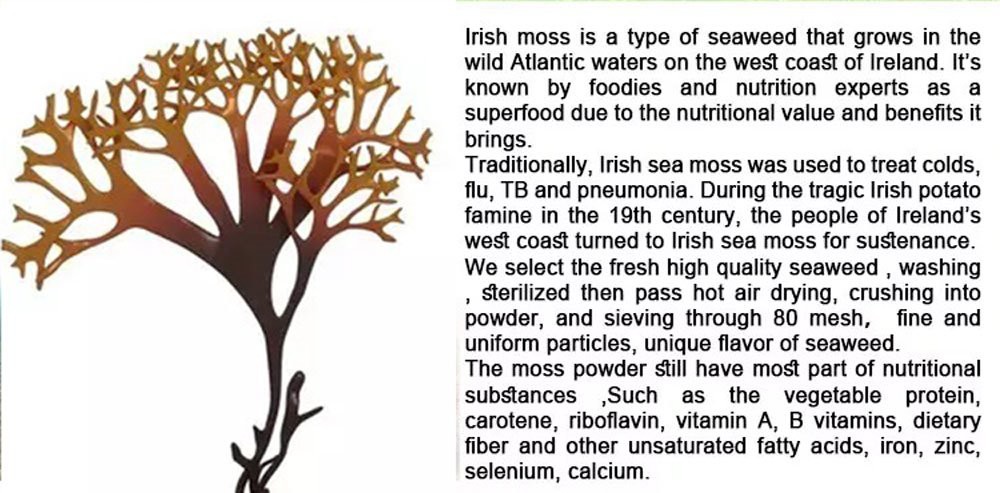 Mosses